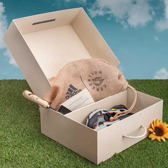 adidas-gardening-portfolio